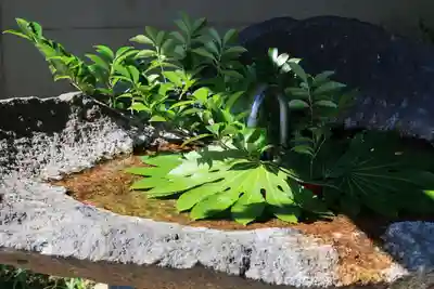 愛宕神社(福島県)