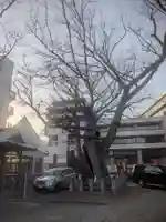 阿邪訶根神社(福島県)