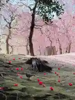 城南宮(京都府)