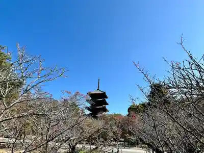 仁和寺(京都府)