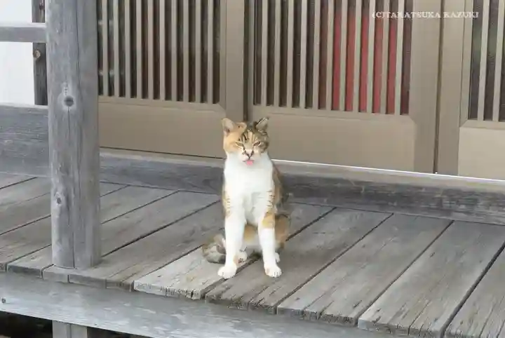 大久保山 自性院の動物