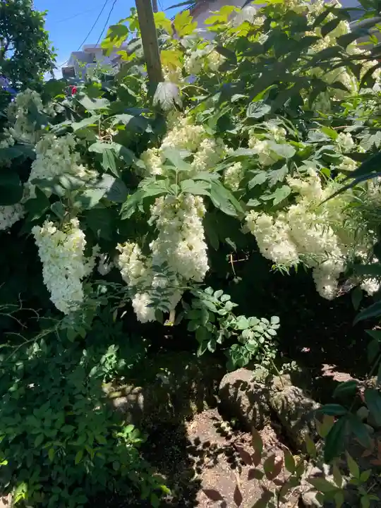 寶安寺(宝安寺)(神奈川県)