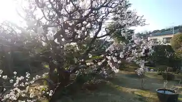 塩満寺のその他建物