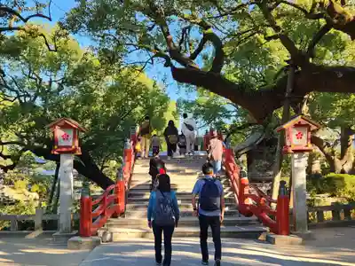 太宰府天満宮(福岡県)