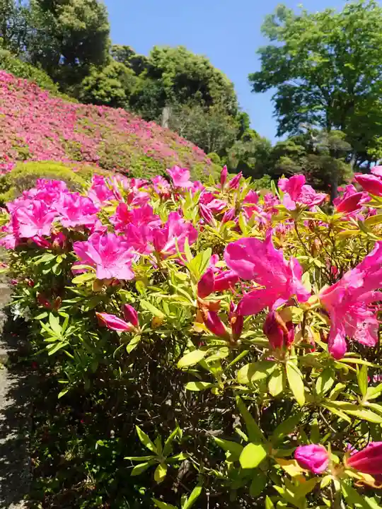 仏行寺(佛行寺)(神奈川県)