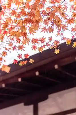 宗像大社(福岡県)