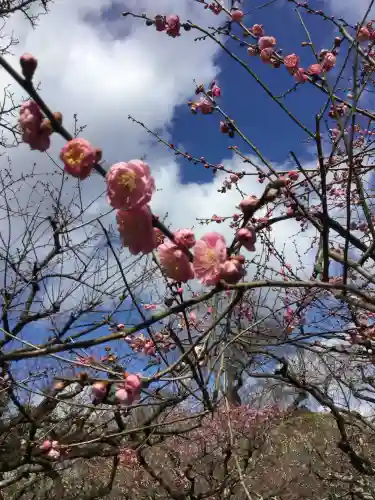 北野天満宮(京都府)