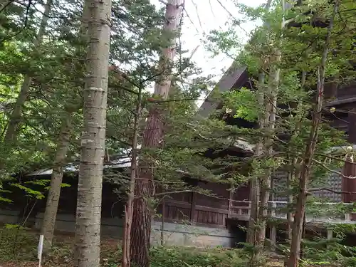 上川神社の本殿