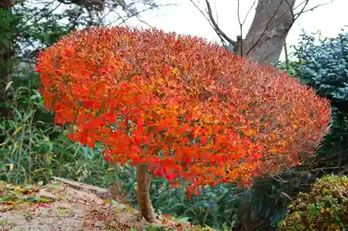 長屋神社の庭園