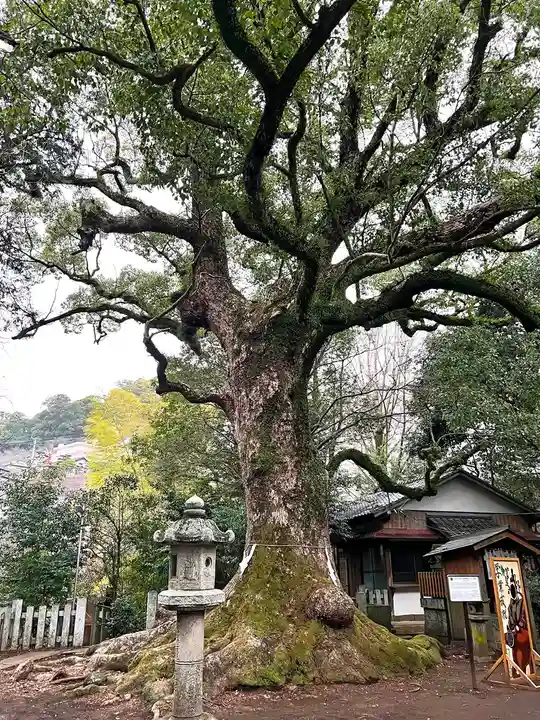 松森天満宮(長崎県)
