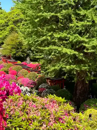 根津神社(東京都)