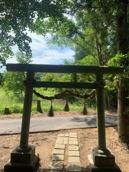 大杉神社(千葉県)
