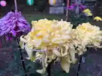 大宮温泉神社(栃木県)