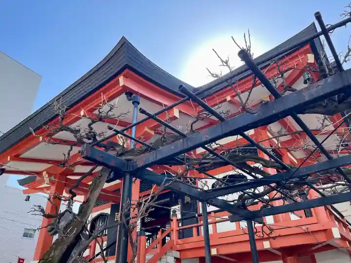 善國寺(東京都)