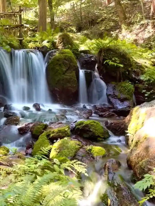天徳寺(福井県)