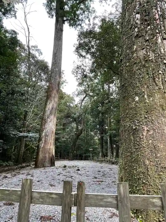 伊勢神宮内宮(皇大神宮)の{uncategorized: "未分類", other: "その他", undefined: "問題あり", building: "その他建物", grave: "お墓", sacred_gate: "鳥居", guardian: "狛犬", statue: "像", buddha: "仏像", history: "歴史", nature: "自然", garden: "庭園", animal: "動物", pagoda: "塔", temizu: "手水舎", mountain_gate: "山門・神門", sanctuary: "本殿・本堂", subordinate: "末社・摂社", art: "芸術", scenery: "景色", jizo: "地蔵", ema: "絵馬", goshuin: "御朱印", omikuji: "おみくじ", items: "授与品その他", amulet: "お守り", goshuincho: "御朱印帳", eats: "食事", festival: "お祭り", votive_dance: "神楽", shichigosan: "七五三参", wedding: "結婚式", experience: "体験その他", initially: "初詣", around: "周辺", anti_infection: "感染症対策"}