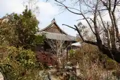 羅漢寺の本殿