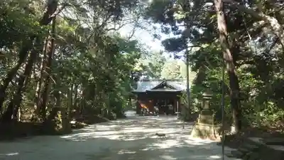 坂戸神社の本殿・本堂