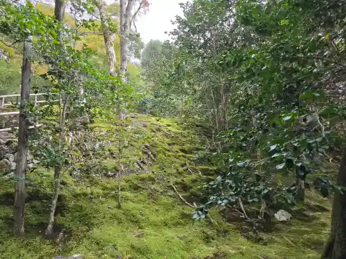 霊鑑寺門跡(京都府)