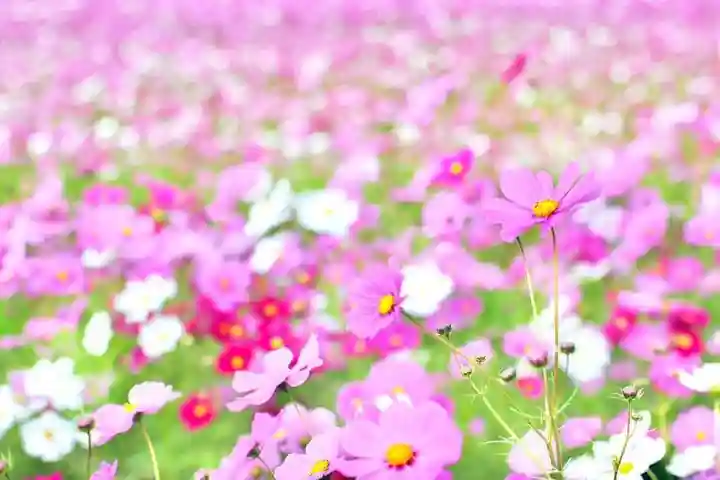 浄土寺(兵庫県)