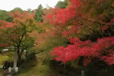 苗秀寺(京都府)