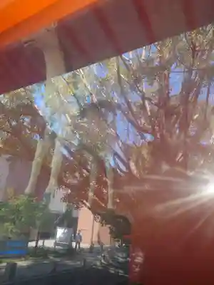 葛飾八幡宮(千葉県)