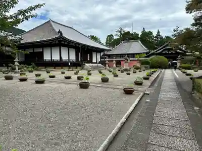 當麻寺 奥院(奈良県)