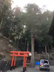 温泉神社〜いわき湯本温泉〜の鳥居