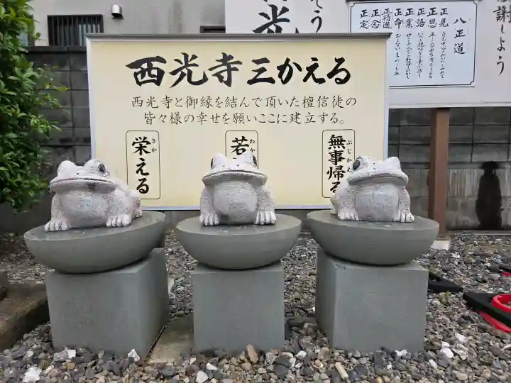 西光寺の{uncategorized: "未分類", other: "その他", undefined: "問題あり", building: "その他建物", grave: "お墓", sacred_gate: "鳥居", guardian: "狛犬", statue: "像", buddha: "仏像", history: "歴史", nature: "自然", garden: "庭園", animal: "動物", pagoda: "塔", temizu: "手水舎", mountain_gate: "山門・神門", sanctuary: "本殿・本堂", subordinate: "末社・摂社", art: "芸術", scenery: "景色", jizo: "地蔵", ema: "絵馬", goshuin: "御朱印", omikuji: "おみくじ", items: "授与品その他", amulet: "お守り", goshuincho: "御朱印帳", eats: "食事", festival: "お祭り", votive_dance: "神楽", shichigosan: "七五三参", wedding: "結婚式", experience: "体験その他", initially: "初詣", around: "周辺", anti_infection: "感染症対策"}