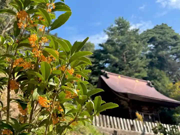 蚊里田八幡宮(長野県)