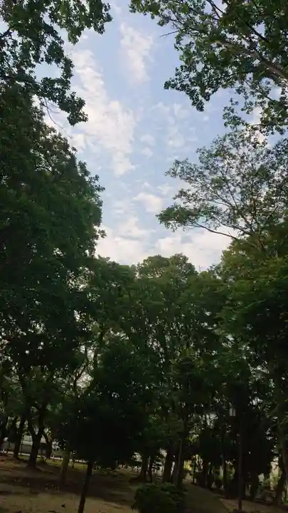 神明社(国府宮神明社)の自然