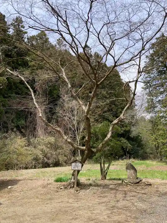 寿亀山神社(栃木県)
