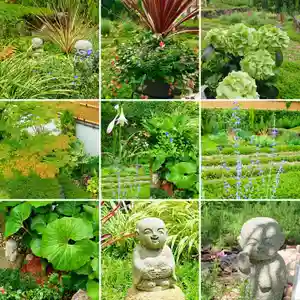 寿量山 速成寺の自然(2020年08月02日(日) 09時14分56秒投稿)