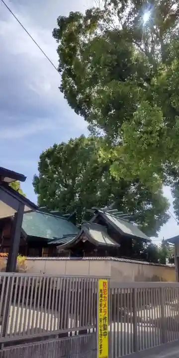 神明社・八幡社合殿(中杉町)(愛知県)