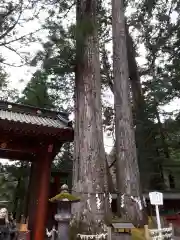 日光二荒山神社の自然