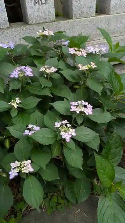 阿部野神社(大阪府)