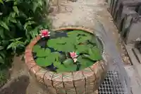 松岳寺のその他建物