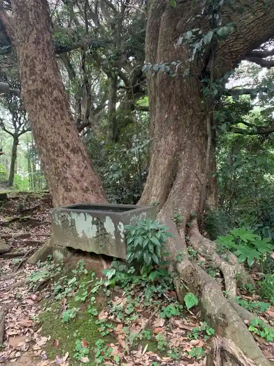 大浦大神(千葉県)