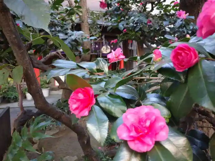 讃岐小白稲荷神社の自然