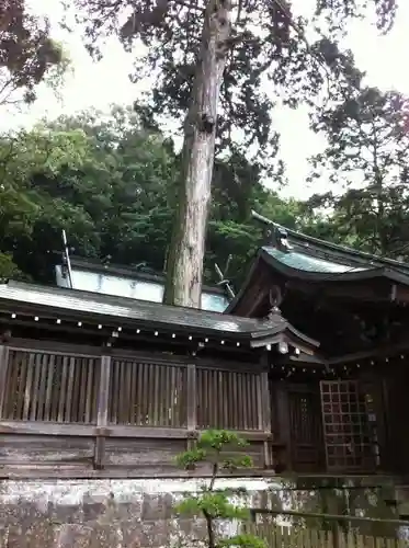 西寒多神社の本殿