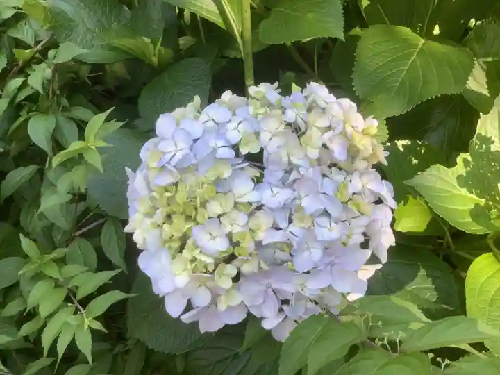 三輪神社の自然