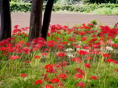 祖光院(千葉県)