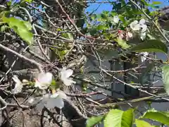 加佐美神社(岐阜県)