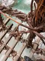 蔓橋地蔵尊(徳島県)