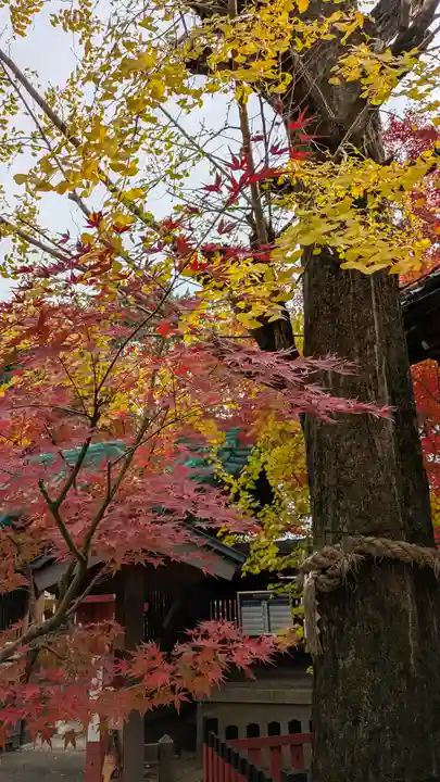 松ヶ崎大黒天 妙圓寺(妙円寺)(京都府)
