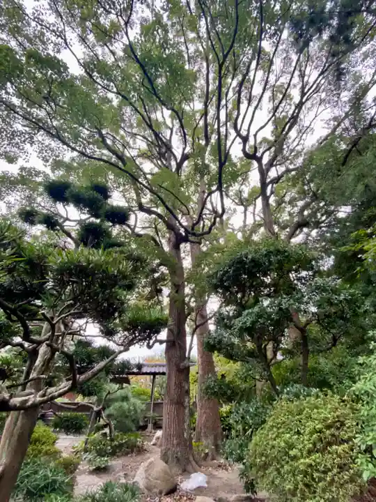 高砂神社(兵庫県)