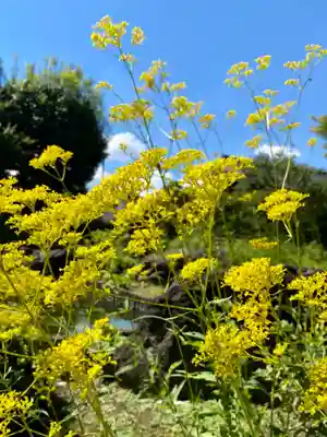 城南宮(京都府)
