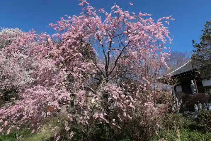 瑠璃寺(長野県)