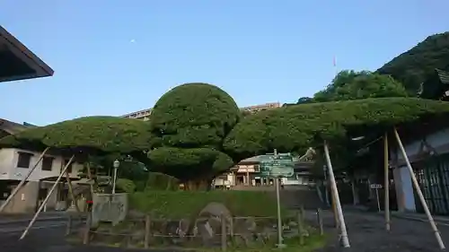 照國神社(鹿児島県)
