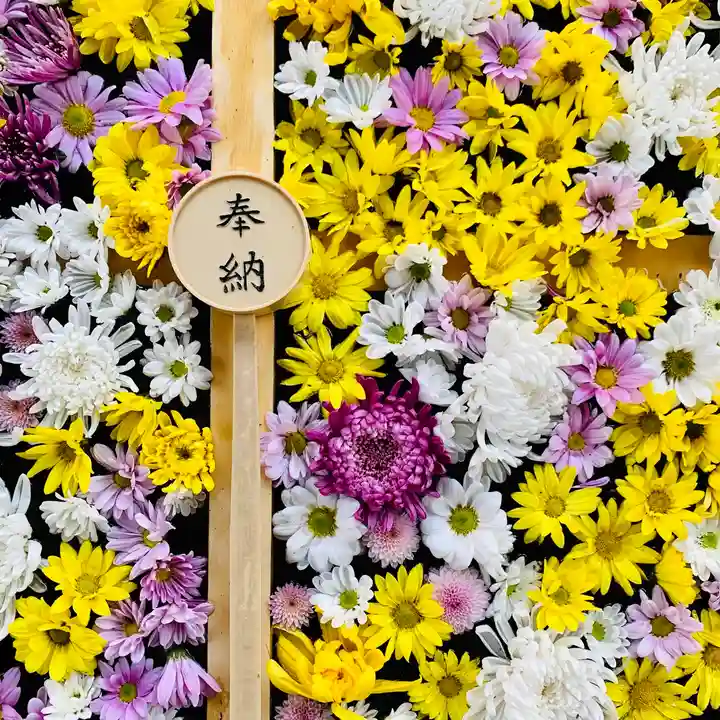 土津神社|こどもと出世の神さまの手水舎